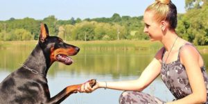 Women-shaking-hand-with-dog